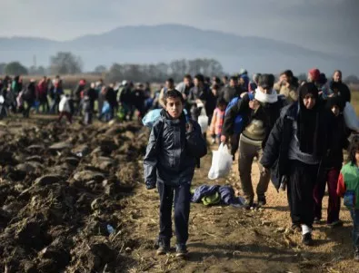 Словения: 50 000 мигранти заплашват Балканите 
