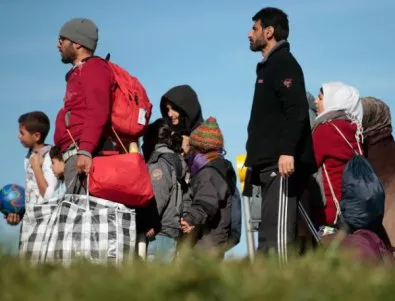 Кандидатите за убежище в ЕС са намалели незначително
