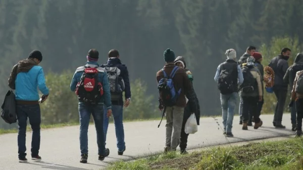 Над 11 000 мигранти са репатрирани доброволно от Гърция