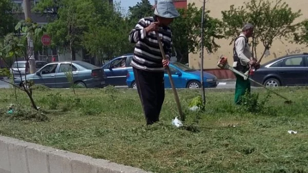 Отлагат пръскането срещу кърлежи в Асеновград