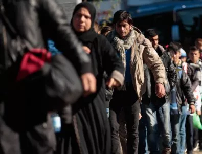 Условията за мигрантите в Гърция са ужасяващи, твърди 