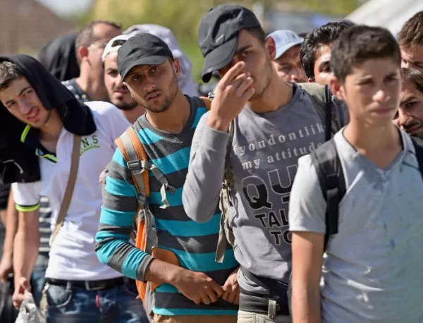 19 нелегални мигранти са заловени близо до видинско село