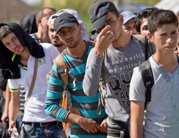 Европа въвежда квалификационен паспорт за бежанците и мигрантите
