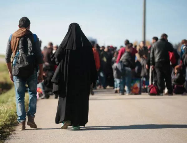 Сръбски министър по границата с България: Не се знае накъде ще потеглят мигрантите от Гърция