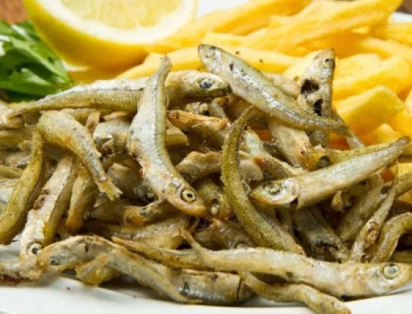 Само 1/3 от рибата в заведенията по морето е българска