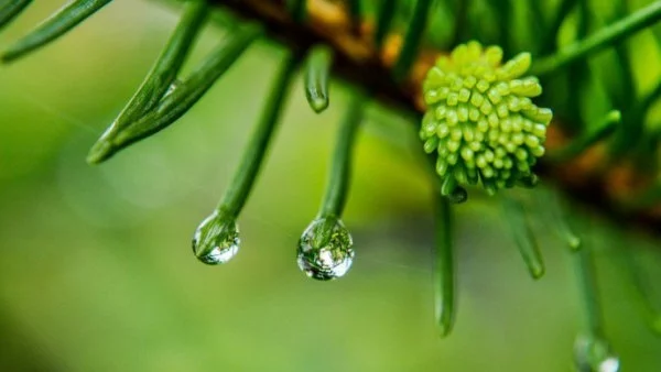 Прогноза за времето - 11 септември (неделя)