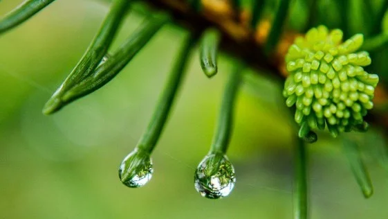 Прогноза за времето - 8 октомври (събота)