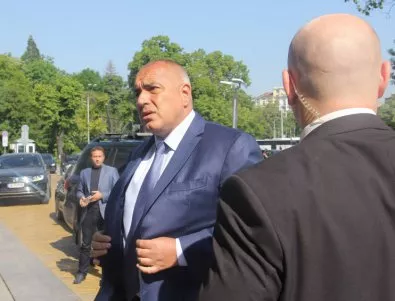 Няма да бъдат изсичани чинари в Силистра, Борисов се намеси