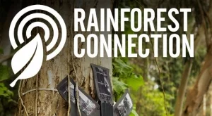 Млад изобретател се бори срещу обезлесяването с рециклирани телефони 
