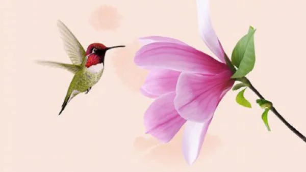 На 26 май излиза "Лиценз за щастие" - сборник от будистки притчи