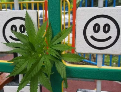 Още една детска площадка с марихуана във Варна