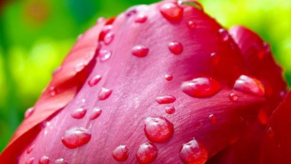 В неделя ще бъде горещо, на места в Централна България може да превали