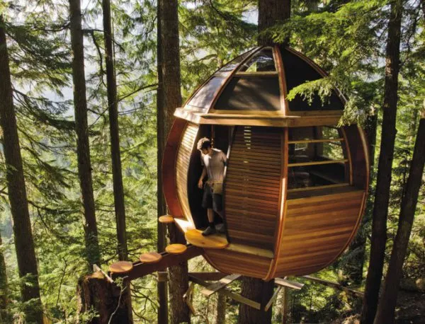 Най-удивителните къщички на дървета в света (СНИМКИ)