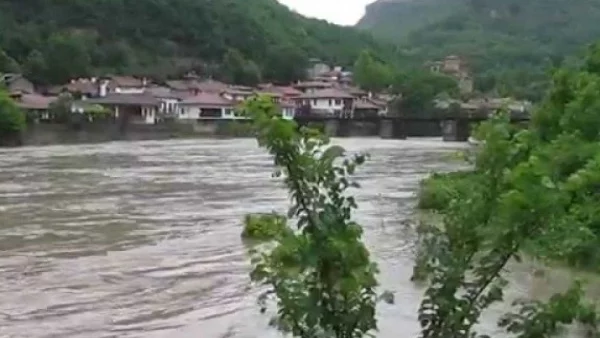 РИОСВ: Янтра не е замърсена, има планктон и водорасли