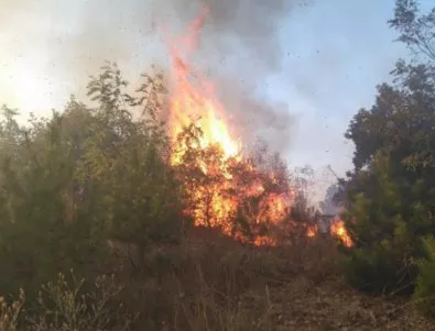 Не е потушен пожарът в Ямболско, засегнал 1000 декара гора