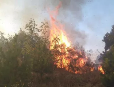 7 пожара са гасили през изминалото денонощие огнеборци в Сливенско