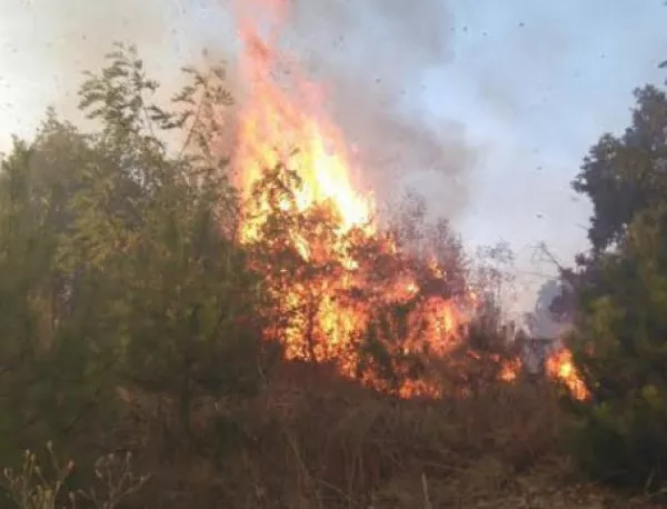 Запалени земеделски земи горят край пътя между ловешките селата Ъглен и Бежаново