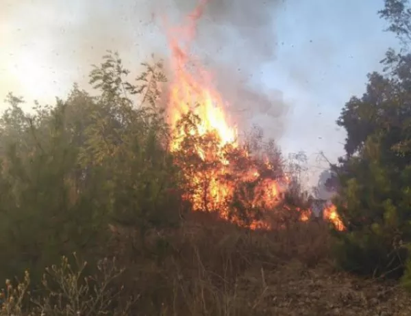 Голям пожар избухна на гръцкия остров Кефалония