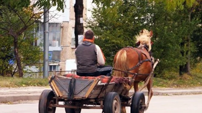 През лятото забраната за движение на каруци в София може да е факт