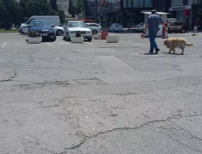 Поставят пешеходни пътеки на улицата край читалището в Асеновград