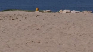 В Царево са направили проверка по сигнал за строеж на плаж "Оазис", не обявяват резултата