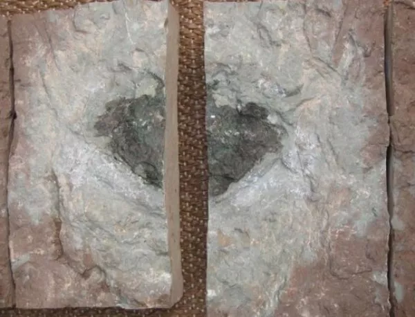 Уникален метеорит се намери в Швеция