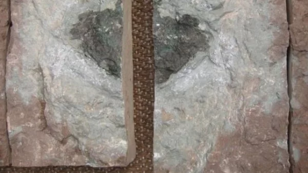 Уникален метеорит се намери в Швеция