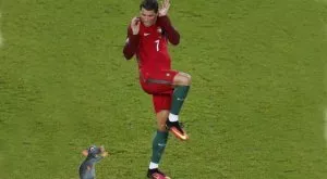 Забавната страна на Евро 2016 (ВИДЕО)