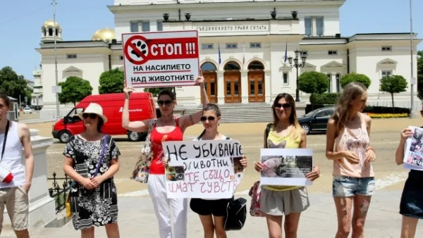 Вегани стартират протести пред земеделското министерство