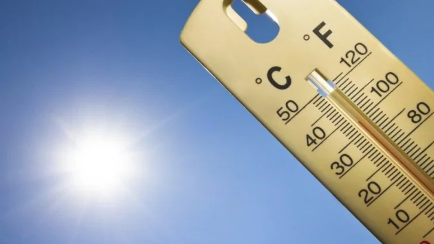 Десетки пострадали от жегите в Япония