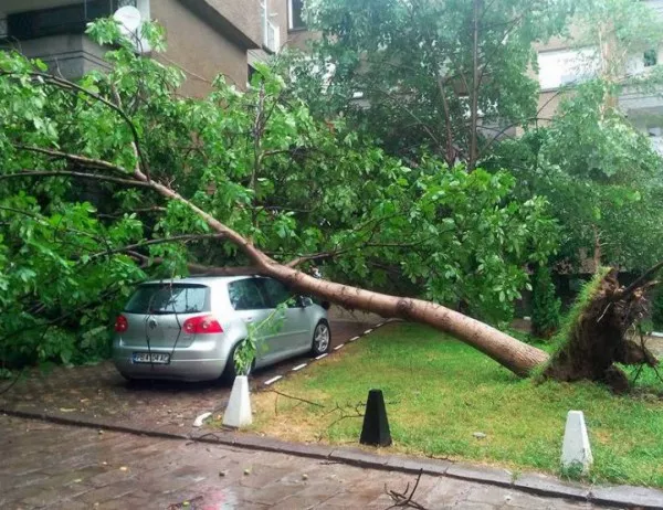 Потрошени автомобили и блокирана къща след буря в Пловдив