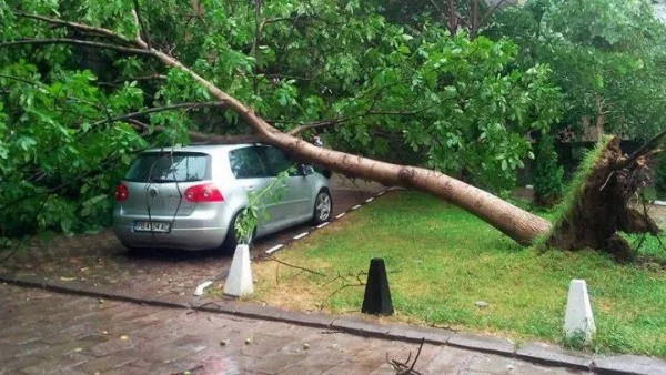 Потрошени автомобили и блокирана къща след буря в Пловдив