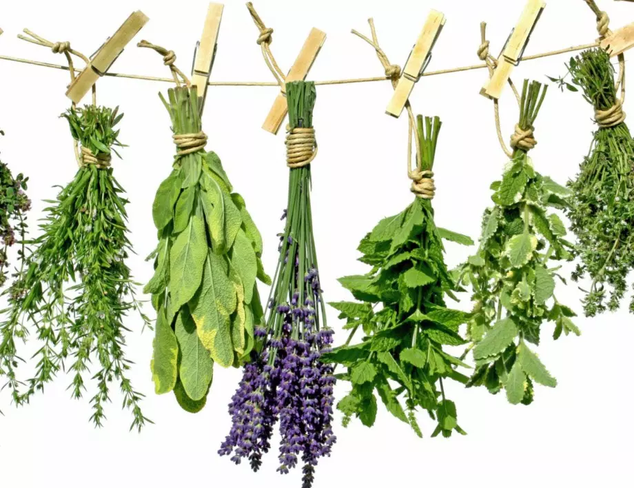 Как да отглеждаме пресни билки у дома целогодишно!