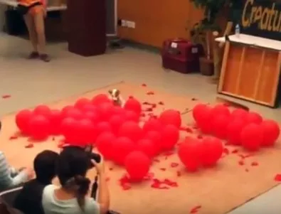 Куче чупи световния рекорд по пукане на балони (Видео)