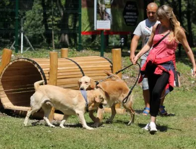 Нова спортна площадка за кучета в Южния парк зарадва десетки стопани