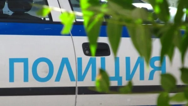 Полицаи от Петрич „ожънаха“ половин тон канабис