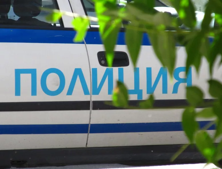 Полицията издирва 33-годишна жена от София (СНИМКА)