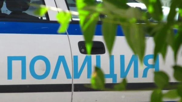 Полицайка пострада по време на вечното дерби "Левски" - ЦСКА