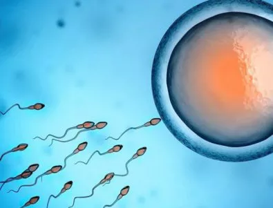 20 неща, които трябва да научите за спермата 