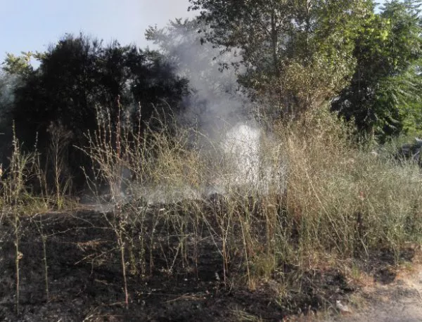 Сухи треви пламнаха на „Ботевградско шосе” в София