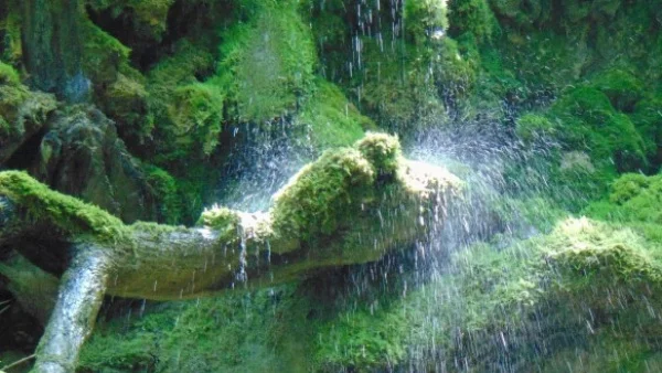 7 спиращи дъха места, които са като Рая на Земята
