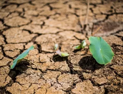 Франция ще похарчи милиарди за компенсиране на загубите от сушата 
