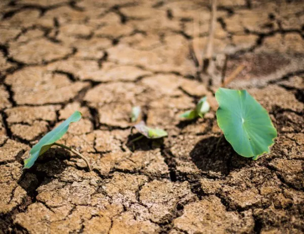 Австралия страда от незапомнена суша