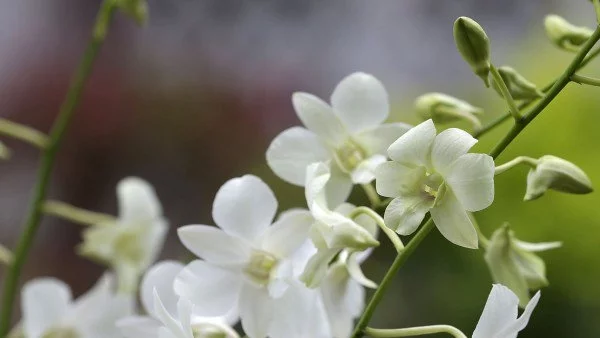 Прогноза за времето - 6 септември (вторник)