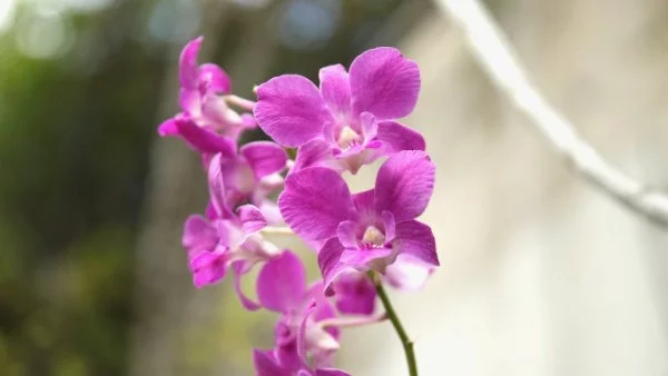 Прогноза за времето - 17 септември (събота)