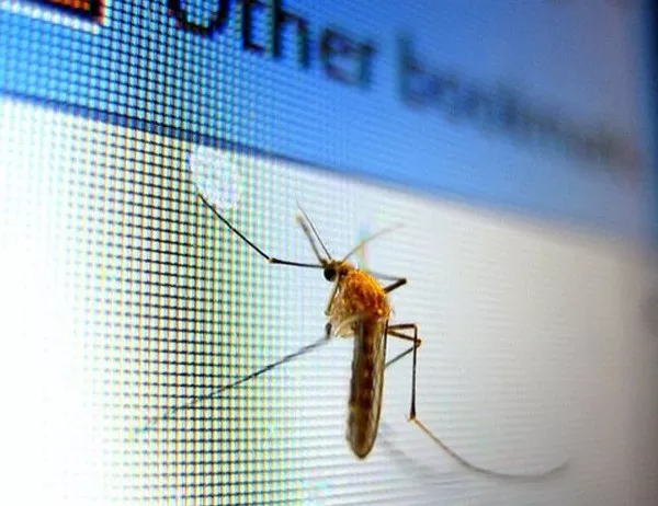 Пръскат против комари край водните площи в Бургас 