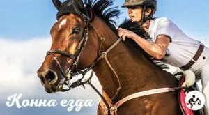 2016/07/27/0469487001469603787