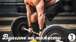 2016/07/27/0596454001469603799