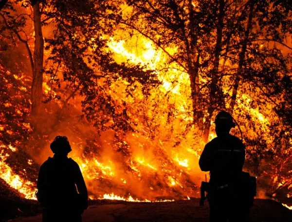 Защо трябва да оставим горските пожари да горят