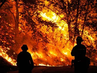 Горски пожар застраши сериозно един от големите градове в Чили